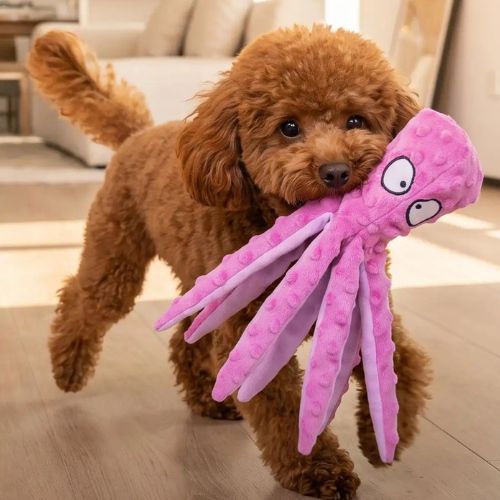 Petit chien Caniche marron tenant dans sa gueule la pieuvre rose, une peluche pour chien et chiot idéale comme jouet d'occupation.