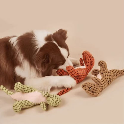 Gros plan d'un Border Collie utilisant une peluche pour chien durable et éducative pour s'occuper. Trois modèles de dinosaures (orange, vert, marron) sont visibles.