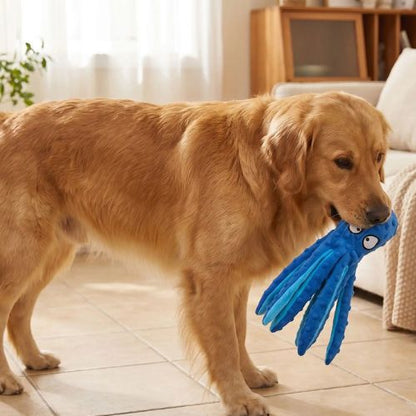 Chien Golden Retriever tenant dans sa gueule la pieuvre bleue, une peluche pour chien interactive et un jouet amusant pour stimuler son éveil.