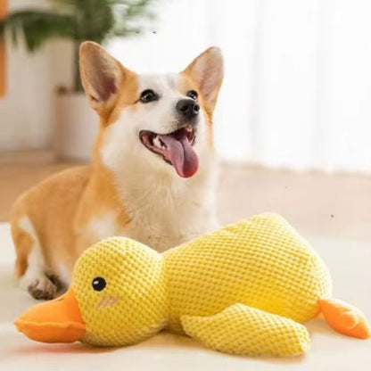 Un chien Corgi enthousiaste assis à côté d'une peluche pour chien en forme de canard jaune, un jouet ludique à mâcher et anti-stress