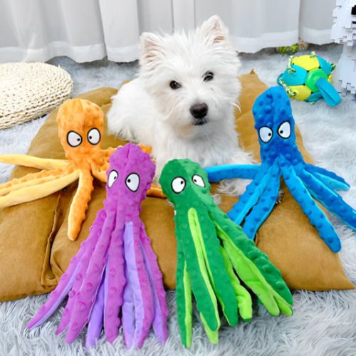 Petit chien blanc type Westie sur un coussin entouré de plusieurs couleurs de la pieuvre, une peluche pour chien de petite et moyenne taille adaptée à toutes les races.