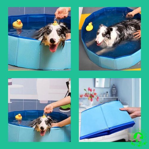 piscine-pour-chien-pliable-resistant-facile-a-ranger