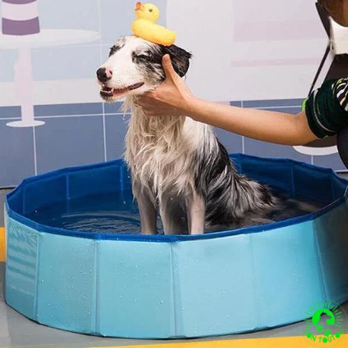 piscine-pour-chien-portable-durable-solide