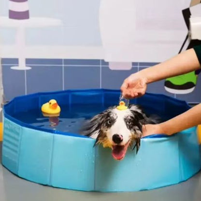 Chien qui s’amuse dans une piscine pour chien bleu résistante et antidérapante.