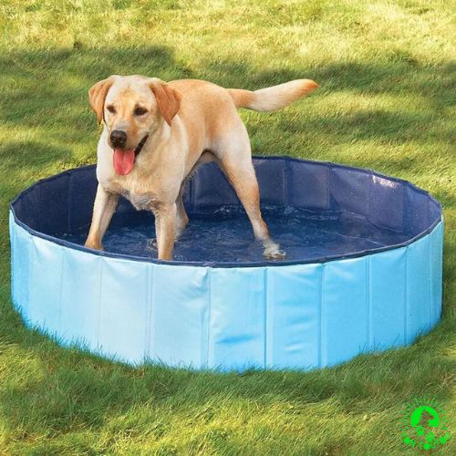 piscine-pour-chien-portable-pliable-durable-bleu