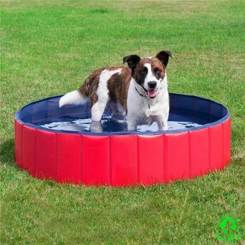 piscine-pour-chien-portable-pliable-durable-rouge