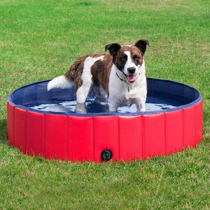 Chien heureux profitant d’une piscine pour chien rafraîchissante rouge sur la pelouse.