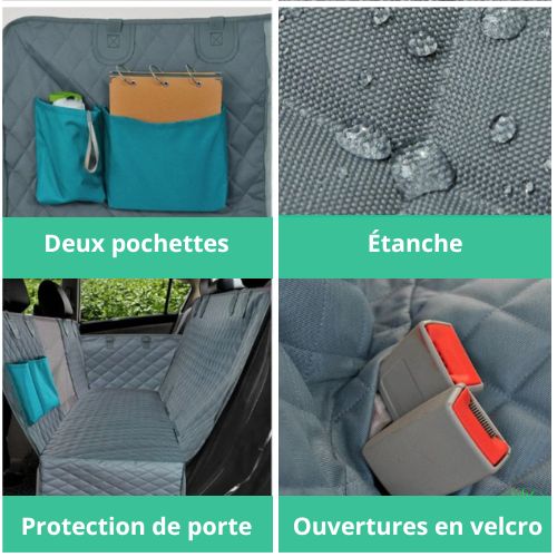 protection-voiture-chien-etanche