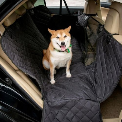 Chien assis sur une protection voiture chien noire et imperméable dans la banquette arrière