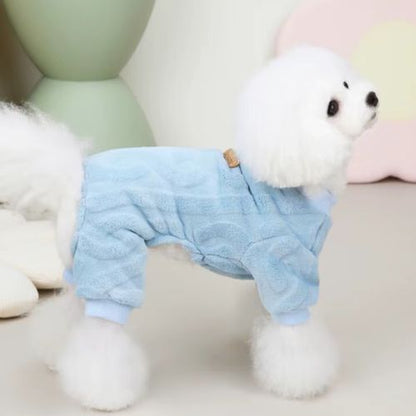 Un caniche blanc portant un pull pour chien bleu doux et chaud