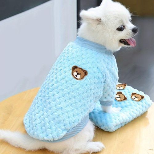 Un Chihuahua blanc portant un Pull pour chien bleu chaud et extensible facile à enfiler