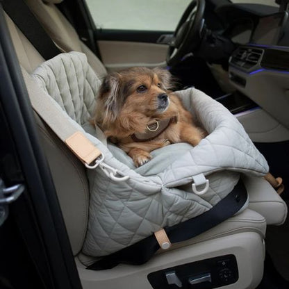 Petit chien assis confortablement dans un sac-de-transport-pour-chien rembourré vert, installé sur un siège de voiture pour un trajet en toute sécurité et avec style