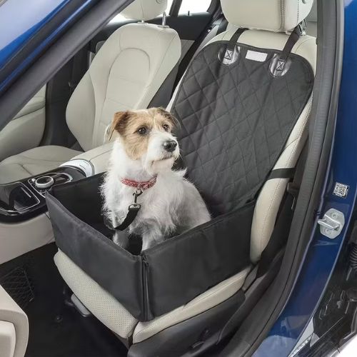 Petit chien installé dans un siège auto chien noir dans une voiture
