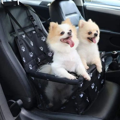 Deux chihuahua installé dans un siège auto pour chien noir avec motif étanche et confortable