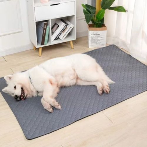 Tapis absorbant pour chien utilisé comme protection et espace de repos