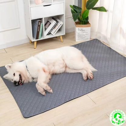 tapis-absorbant-pour-chien-xxl-reutilisable-resistant-durable-confortable-doux-molleux-pratique-pour-voiture-canape-cage-lit-grand-chien-lavable-doux-anti-stress-apaisant-gris-maron-rose