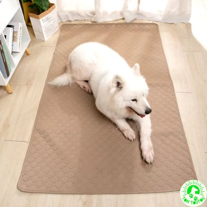 tapis-absorbant-pour-chien-grand-taille-reutilisable-resistant-durable-confortable-doux-molleux-pratique-pour-voiture-canape-cage-lit-grand-chien-lavable-doux-anti-stress-apaisant-gris-maron-rose