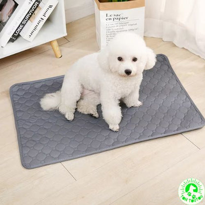tapis-absorbant-pour-chien-chat-reutilisable-resistant-durable-indechirable-confortable-doux-molleux-pratique-pour-voiture-canape-cage-lit-grand-petit-chien-lavable-doux-anti-stress-apaisant-gris