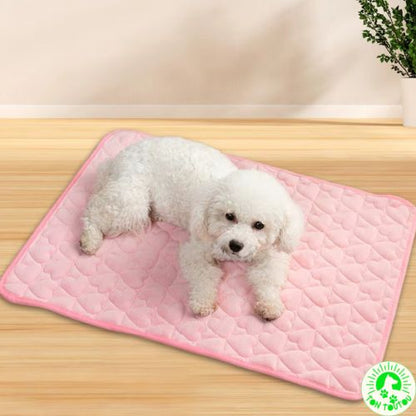 tapis-absorbant-pour-chien-chat-reutilisable-resistant-durable-indechirable-confortable-doux-molleux-pratique-pour-voiture-canape-cage-lit-grand-petit-chien-lavable-doux-anti-stress-apaisant-rose