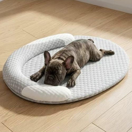 Un Bouledogue français allongé sur tapis chien rafraichissant léger, idéal contre la chaleur