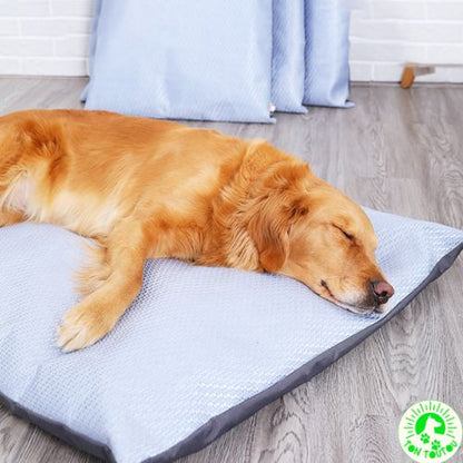 tapis-chien-rafraichissant-labrador-relaxer-sommeil-profond-apaiser