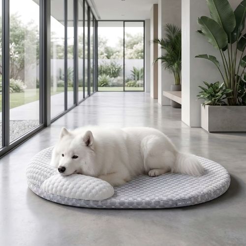 Un samoyède allongé sur tapis chien rafraichissant gris clair déhoussable