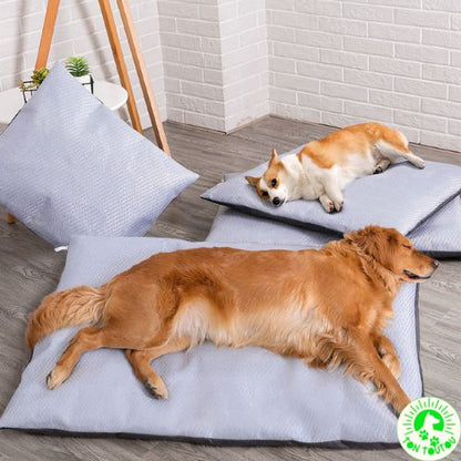 tapis-chien-rafraichissant-labrador-malinois-coucher-sur-tapis-moelleux-d-ete-anti-chaleur-canicule