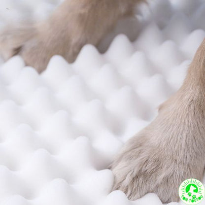Tapis Chien Rafraichissant | TapisRelaxant™
