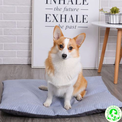 tapis-chien-rafraichissant-molleux-petit-moyen-taille