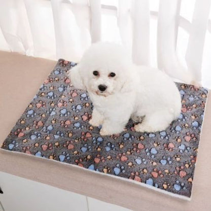 Un petit Caniche blanc assis sur un tapis de chien douillet double face pratique pour l'intérieur comme l'extérieur.