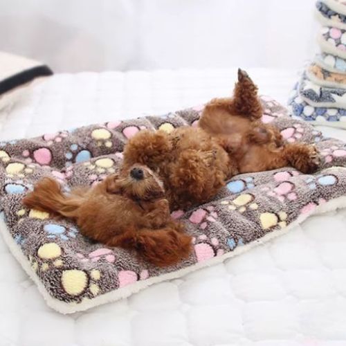 Un caniche marron allongé sur le dos sur un tapis de chien moelleux et douillet offre un sommeil reposant