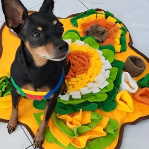 Chien actif qui stimule son flair avec un tapis de fouille chien interactif