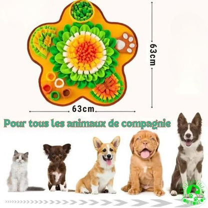 tapis-de-fouille-chien-amusant-durable-rigolo
