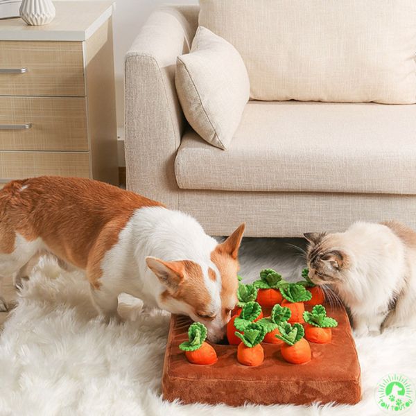 tapis-de-fouille-chien-dogtoy