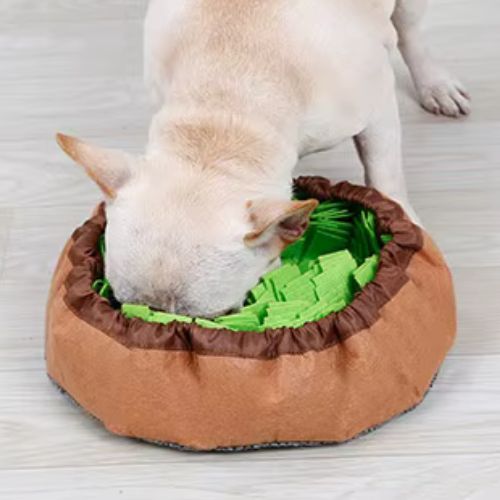 Chien concentré sur la recherche de friandises cachées dans un tapis de fouille chien, accessoire éducatif stimulant le flair et l’instinct naturel.