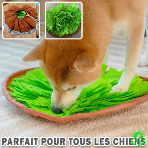 tapis-de-fouille-chien-robuste