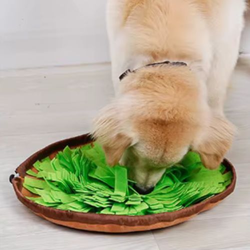Chien blanc jouant avec un tapis de fouille chien vert, réduire l’ennui et le stress canin.