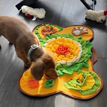 Tapis de fouille pour chien | Nez Curieux
