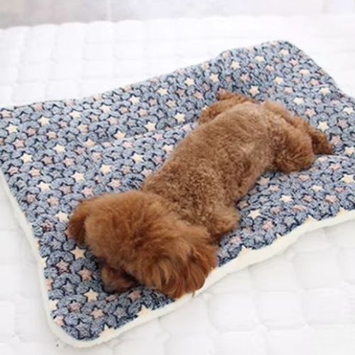 Petit chien marron allongé sur un tapie pour chien doux à motifs étoiles