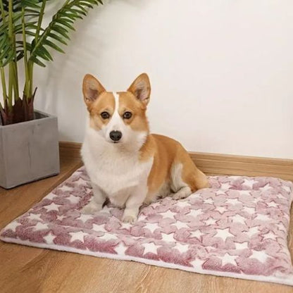 Un Welsh Corgi assis tranquillement sur un tapis pour chien rose avec des étoiles blanc douillet.