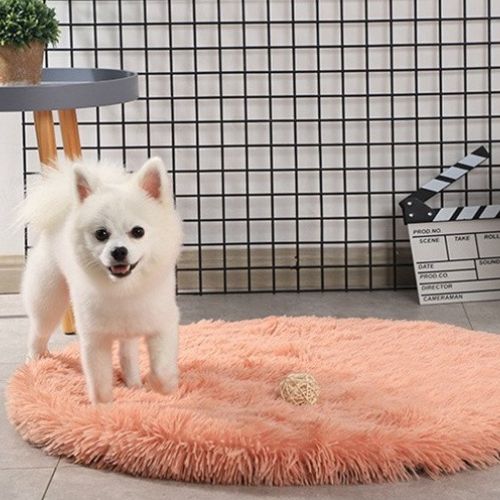 tapis pour chien chihuahua blanc ronde doux peluche long rose