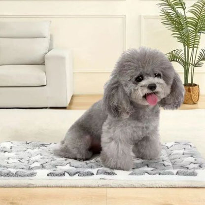 Un Caniche détendu sur un tapis pour chien gris, confortable un format rectangle.