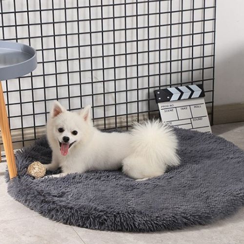 tapis pour chien douce et confortable en forme ronde gris chien blanc allongé confortablement