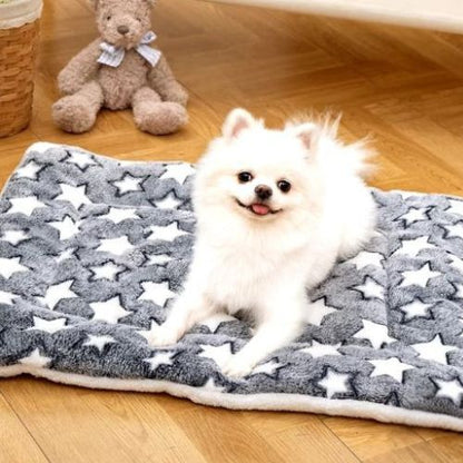 Tapis pour chien gris moelleux posé sur  le sol en parquet en bois avec un petit chien couché dessus