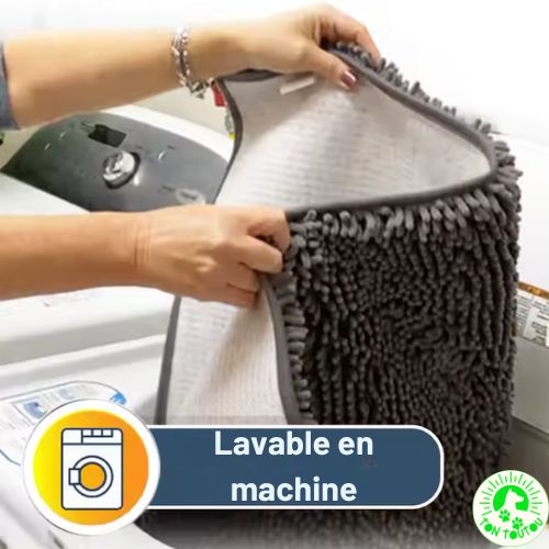 Tapis pour chien lavable et facile à entretenir