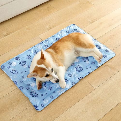 Corgi détendu installé sur un tapis pour chien rafraichissant bleu clair