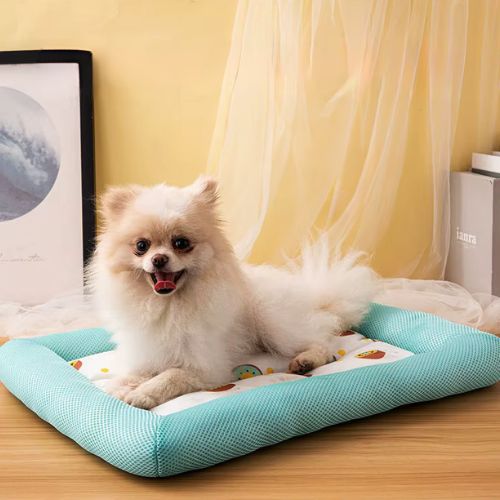 Chihuahua détendu sur tapis pour chien rafraichissant bleu antistress posé au sol à côté un cadre