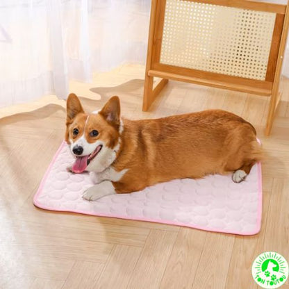 tapis-pour-chien-rafraichissant-contre-la-chaleur-resistant-durable-indechirable-confortable-pour-voiture-canape-cage-lit-grand-petit-chien-lavable-doux-moelleux-anti-stress-apaisant-rose
