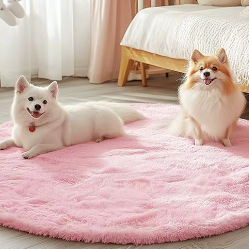 tapis pour chien rose douce et confortable en forme ronde deux petit chien allongé paisiblement