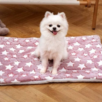 Surface douillette en tissu servant de tapis pour chien rose avec un petit chien assis tranquillement
